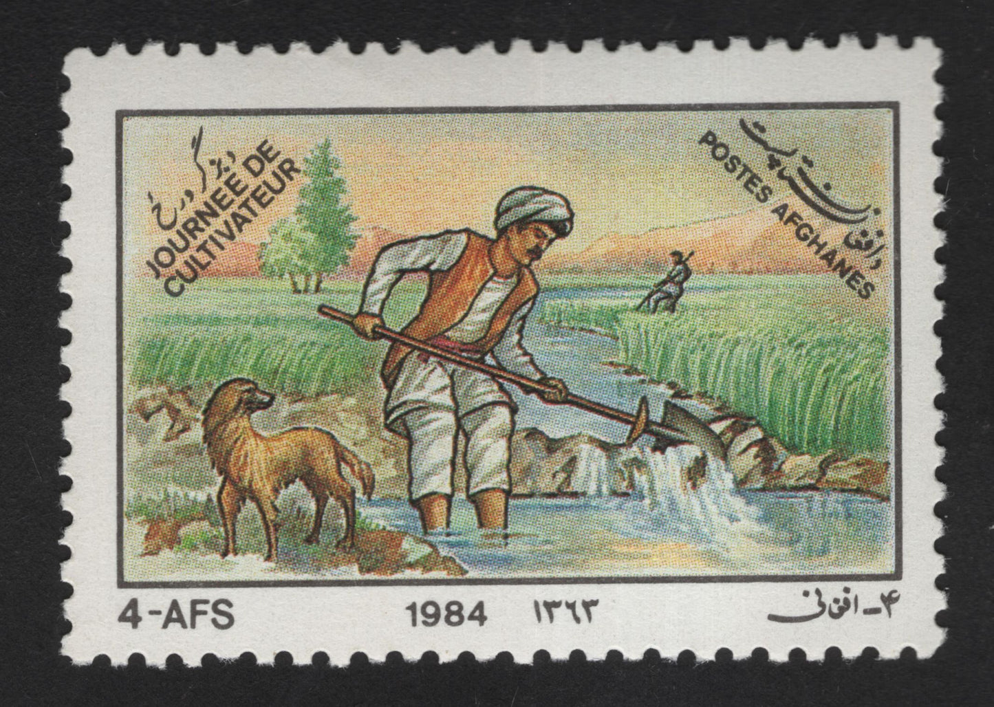 SCG14010 - Afghanistan 1984 – Young Cultivator (Rural Life Series) 4 AFS