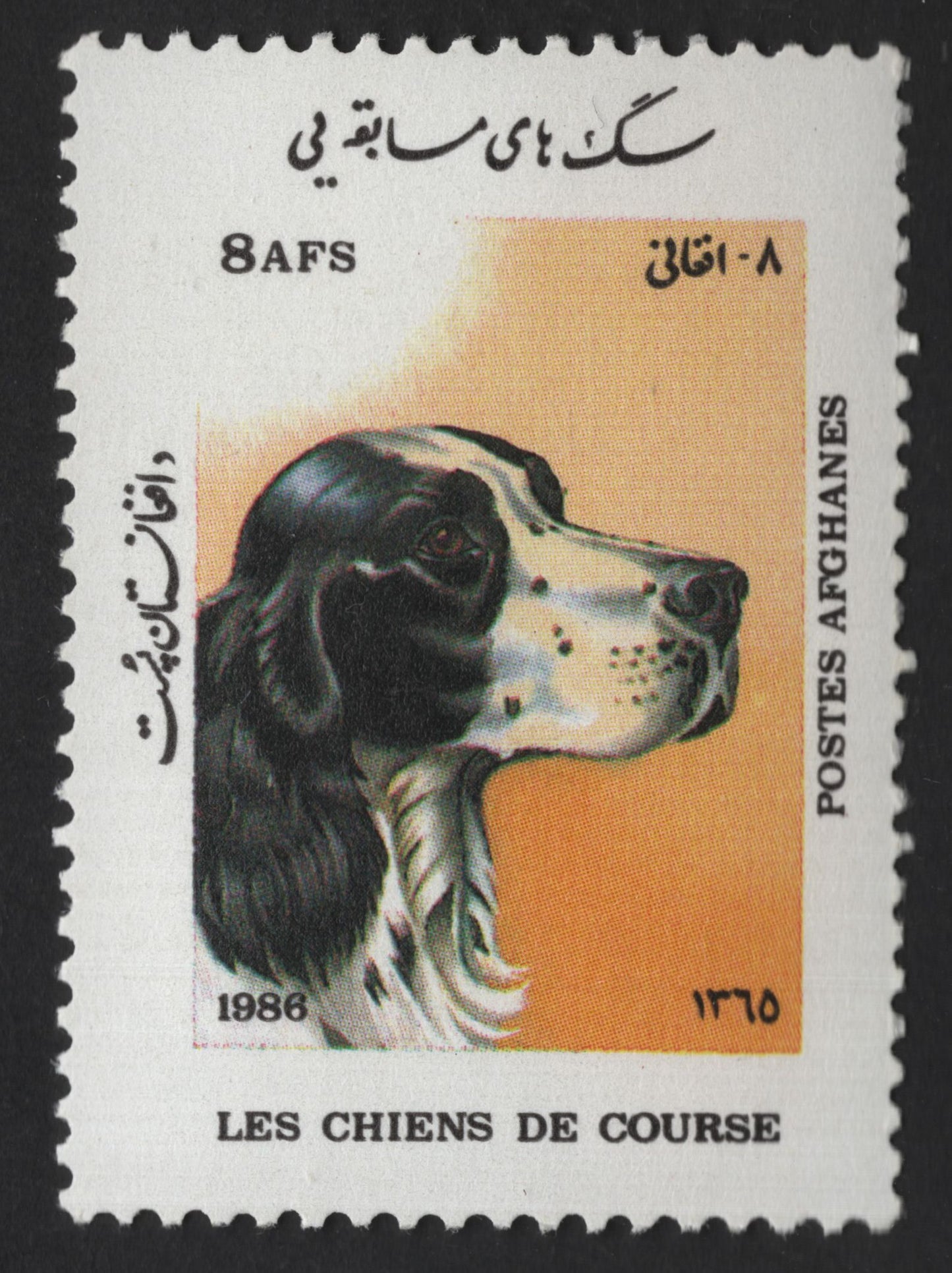 SCG14011 - Afghanistan 1986 – Afghan Hound (Les Chiens de Course) Stamp