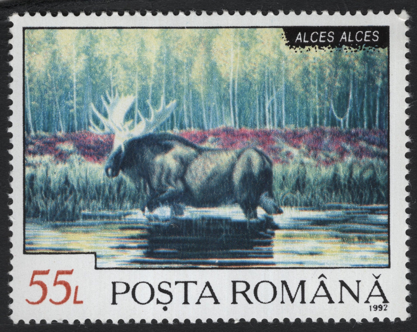 SCG7246 - Romania 1992 – Moose (Alces alces)