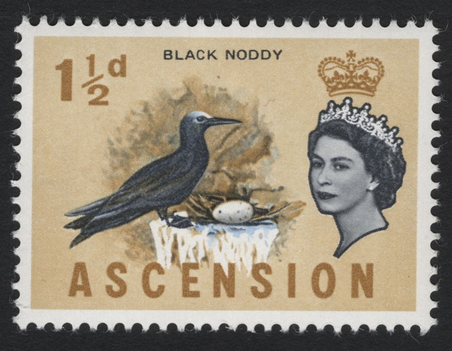 SCG6999 - Ascension 1½d “Black Noddy” (1956 issue)