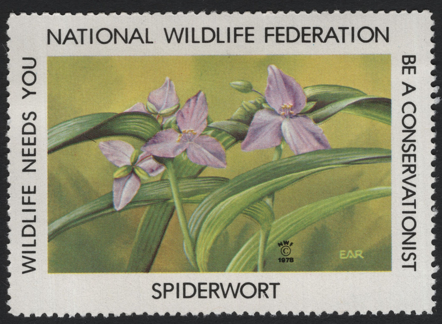 SCG7007 - USA 1978 “Spiderwort” (National Wildlife Federation)