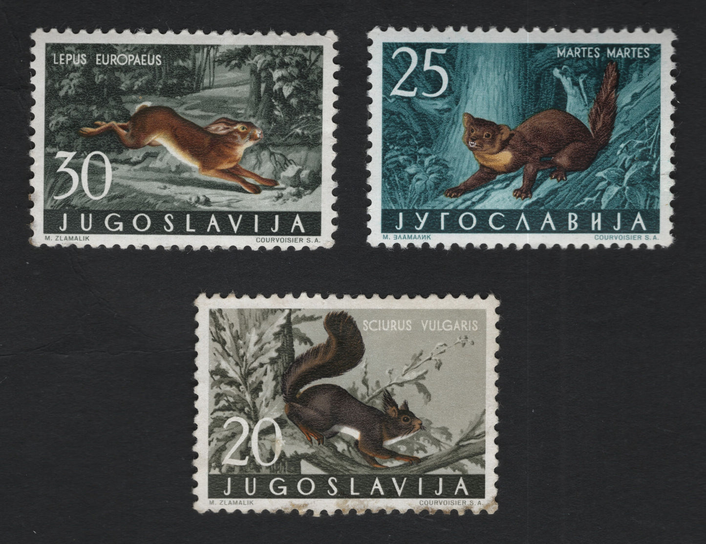 SCG10053 - Yugoslavia – Forest Wildlife Definitives (Hare, Pine Marten & Red Squirrel)