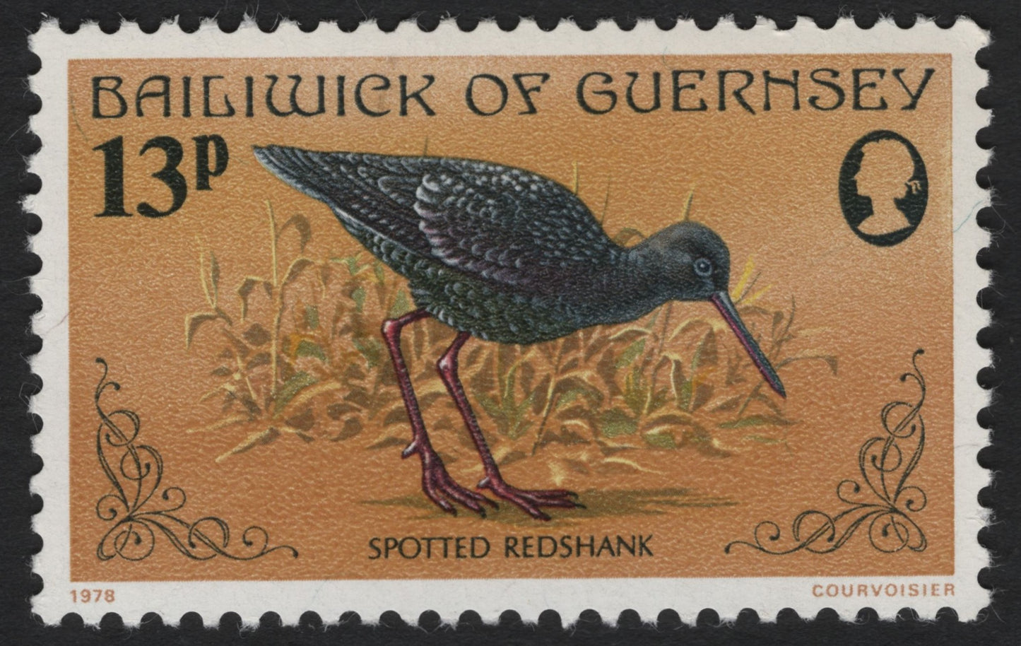 SCG7027 - Guernsey 1978 – Spotted Redshank (13p)