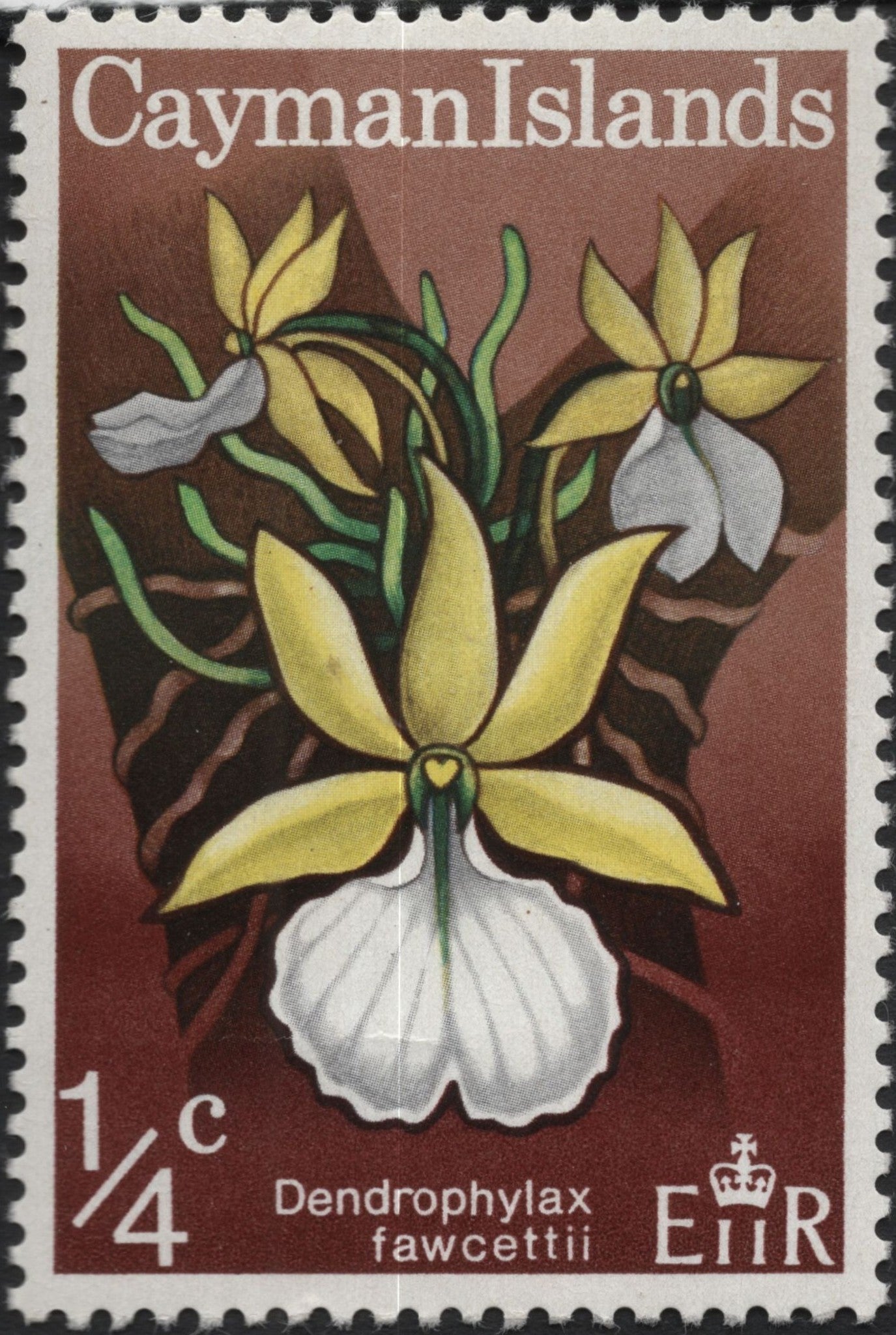 SCG9984 - Cayman Islands ¼c Dendrophylax fawcettii Orchid Stamp