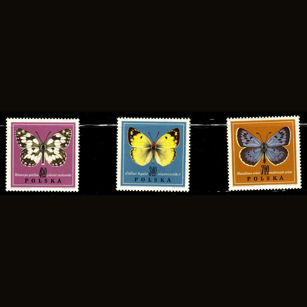 SCG101 Poland Butterfly Stamp Set – Melanargia, Colias & Maculinea Species