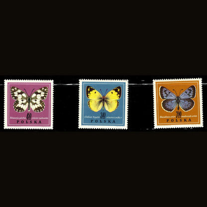 SCG101 Poland Butterfly Stamp Set – Melanargia, Colias & Maculinea Species