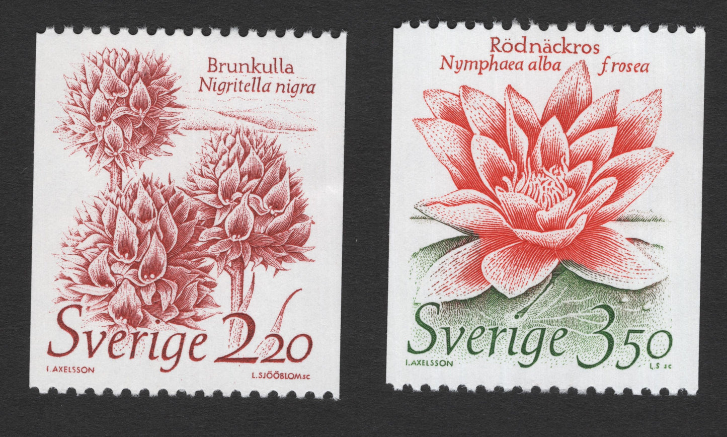 SCG11745 - Sweden Flora Definitive Pair – BrunKulla (Nigritella nigra) & Rödnäckros (Nymphaea alba f. rosea)