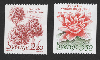 SCG11745 - Sweden Flora Definitive Pair – BrunKulla (Nigritella nigra) & Rödnäckros (Nymphaea alba f. rosea)