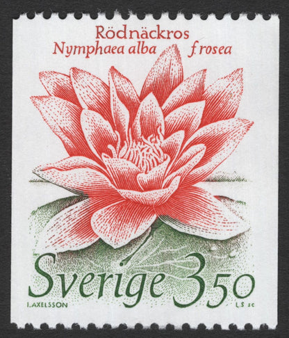SCG11745 - Sweden Flora Definitive Pair – BrunKulla (Nigritella nigra) & Rödnäckros (Nymphaea alba f. rosea)
