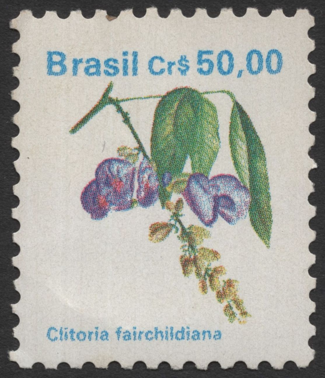 SCG11747 - Brazil Native Flora — Clitoria fairchildiana & Tibouchina granulosa