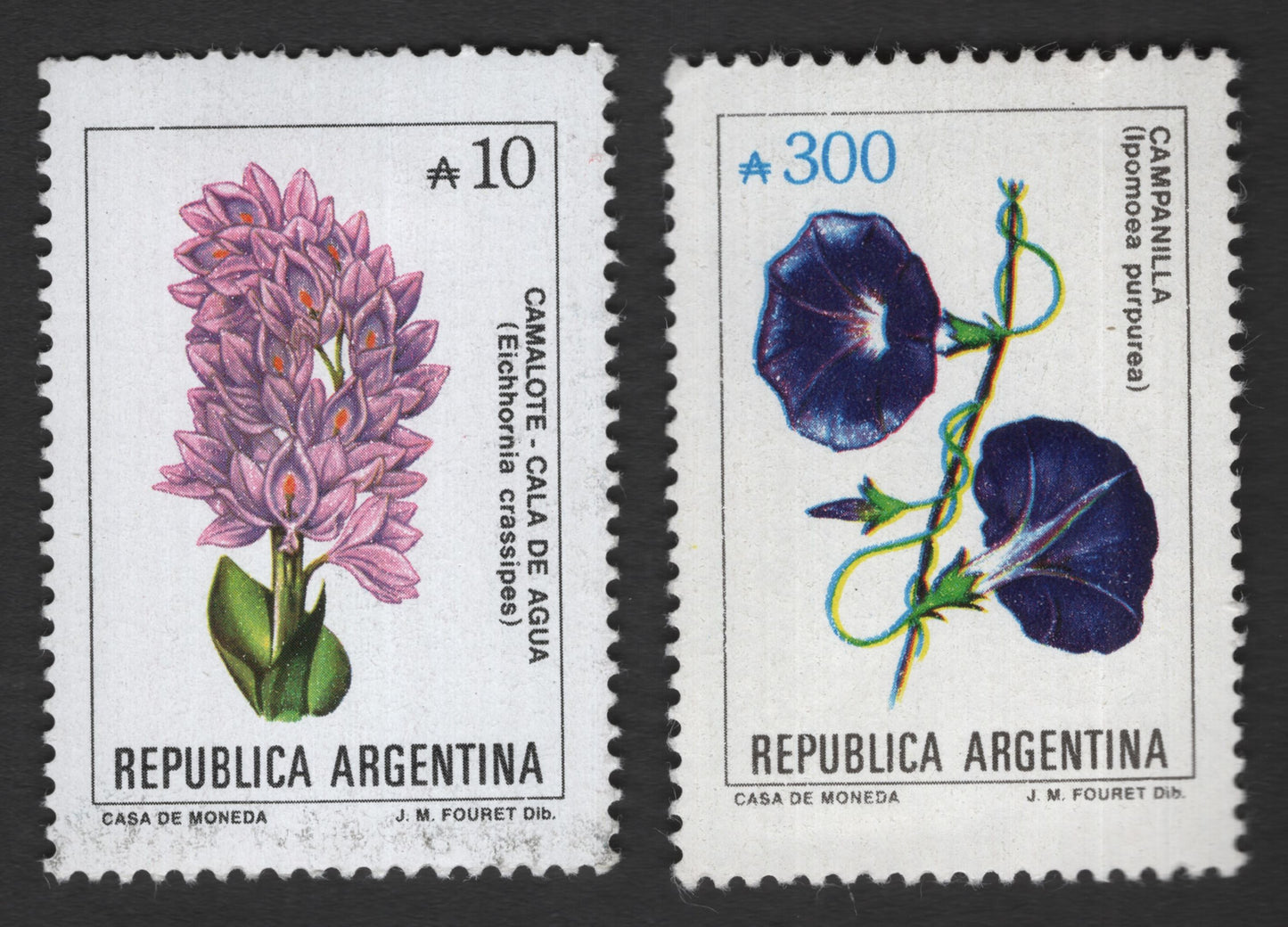 SCG11757 - Argentina Native Flora Stamp Pair – Water Hyacinth & Morning Glory