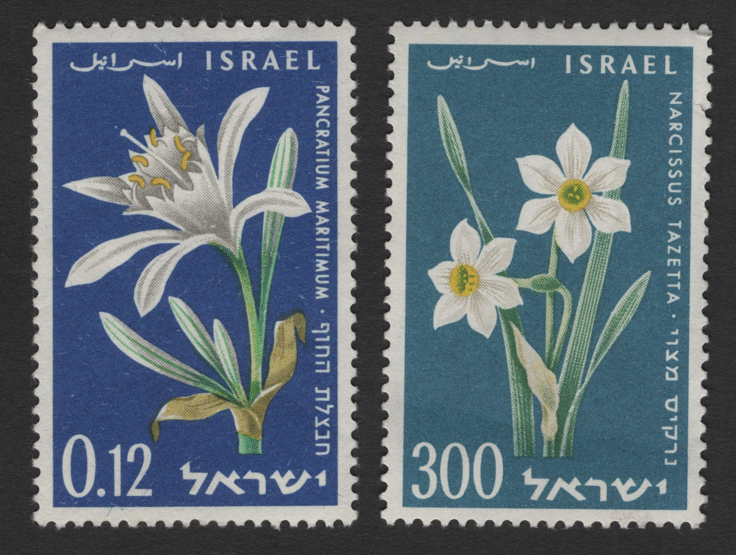 SCG11763 - Israel Native Wildflowers – Pancratium maritimum & Narcissus tazetta Stamp Pair