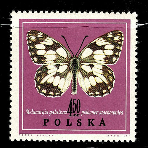 SCG101 Poland Butterfly Stamp Set – Melanargia, Colias & Maculinea Species