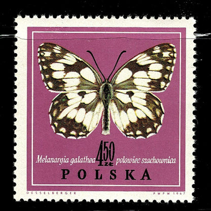 SCG101 Poland Butterfly Stamp Set – Melanargia, Colias & Maculinea Species