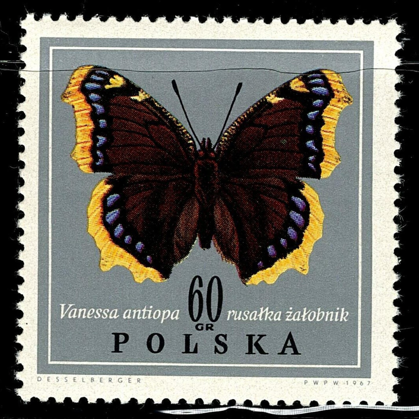 SCG102 Poland Butterfly Stamp Set – Nymphalis, Apatura & Vanessa Species