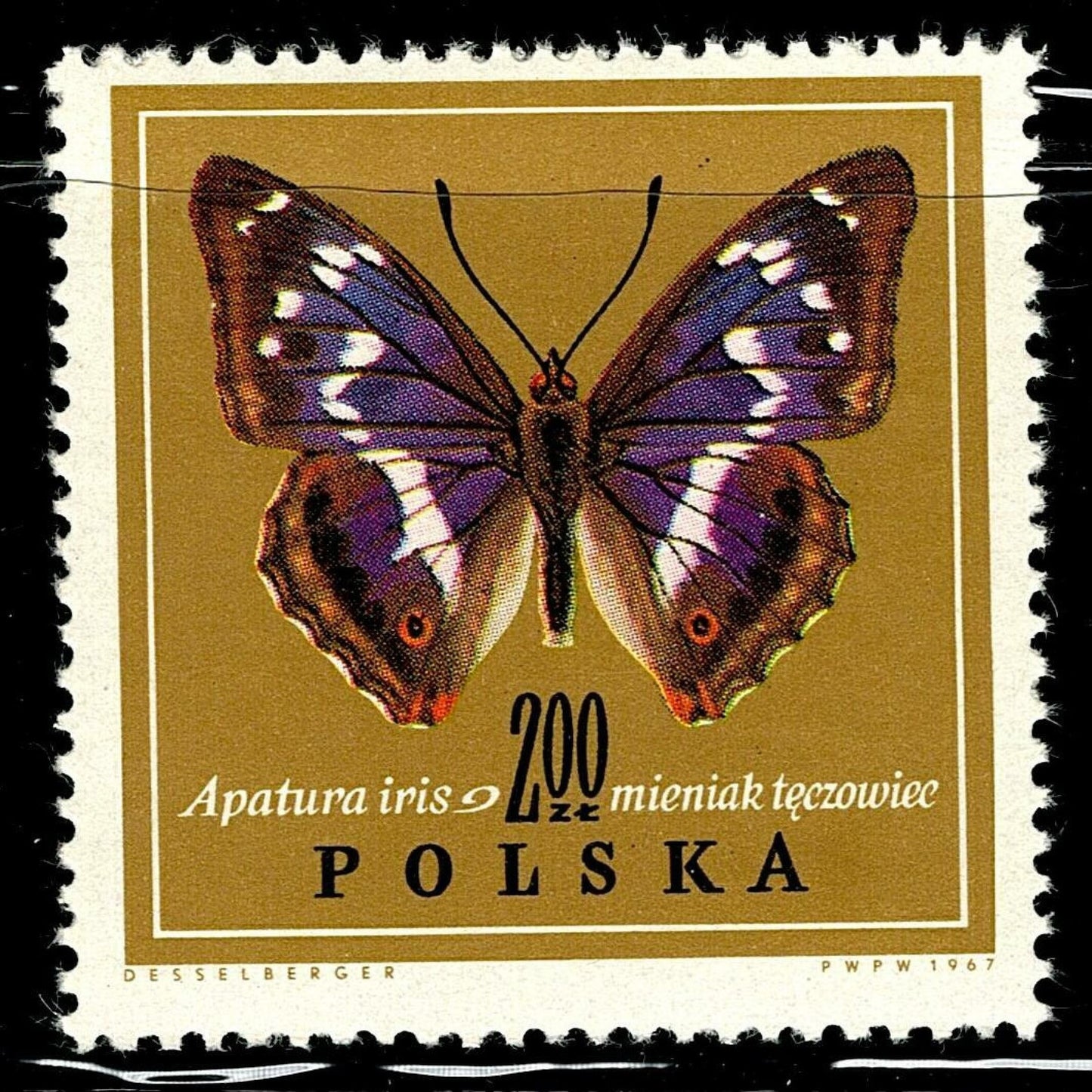 SCG102 Poland Butterfly Stamp Set – Nymphalis, Apatura & Vanessa Species