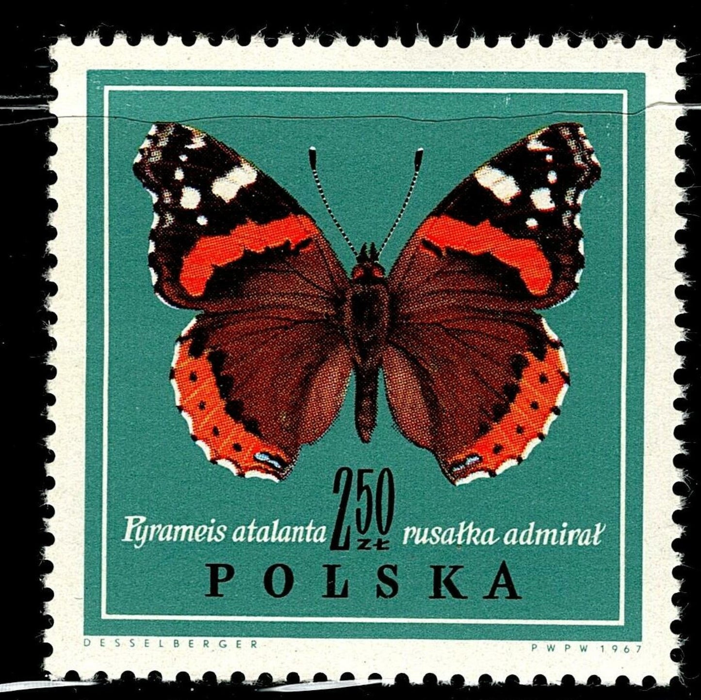 SCG102 Poland Butterfly Stamp Set – Nymphalis, Apatura & Vanessa Species
