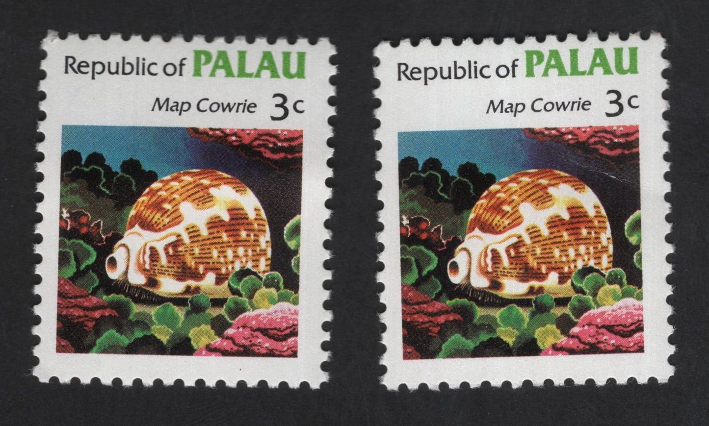 SCG13138 - Palau 3¢ Map Cowrie Shell Marine Life Stamp
