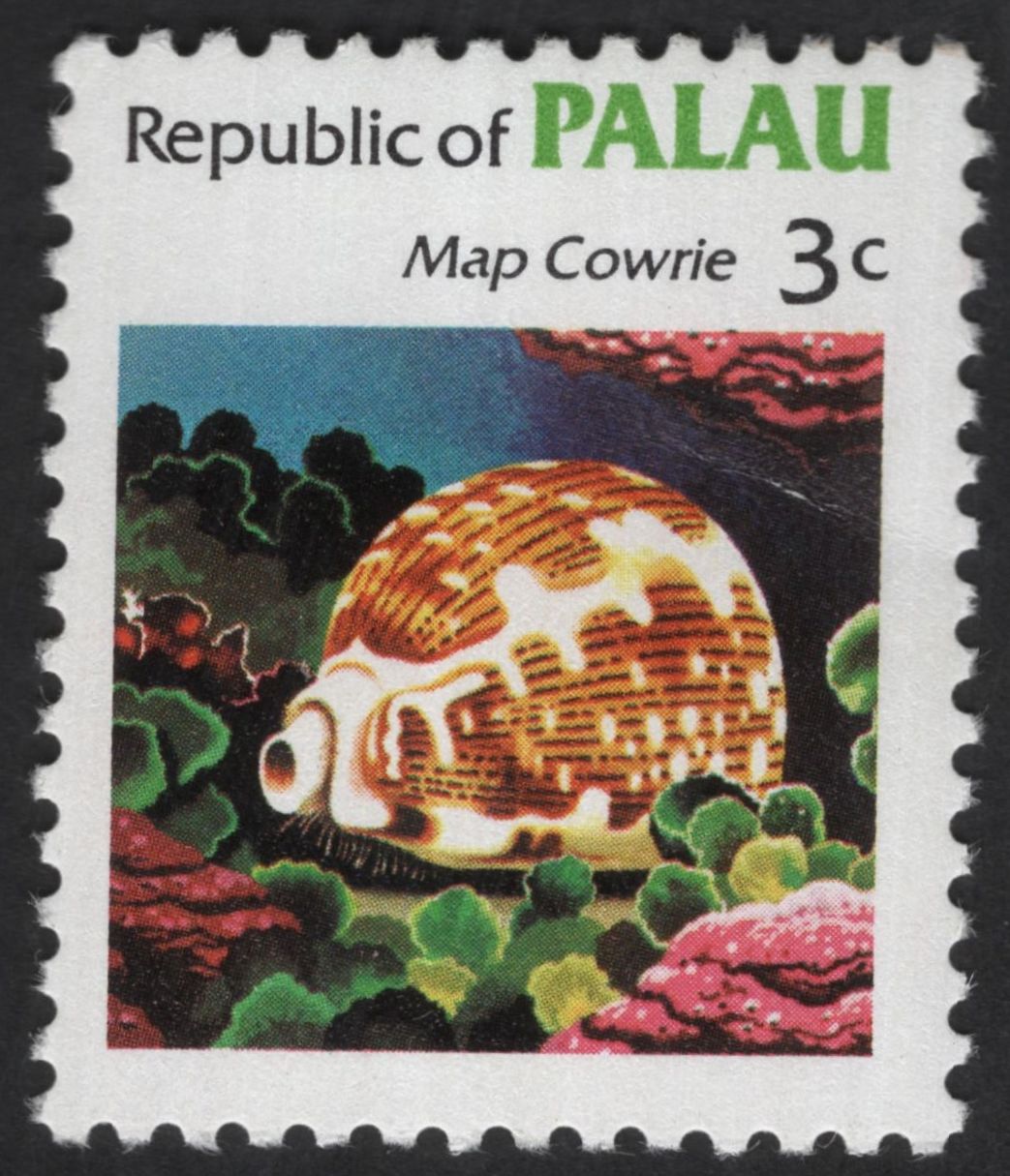 SCG13138 - Palau 3¢ Map Cowrie Shell Marine Life Stamp