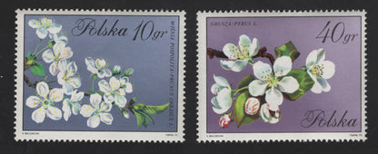 SCG13255 - Poland 1972 Blossoming Fruit Trees – Cherry & Pear Flowers