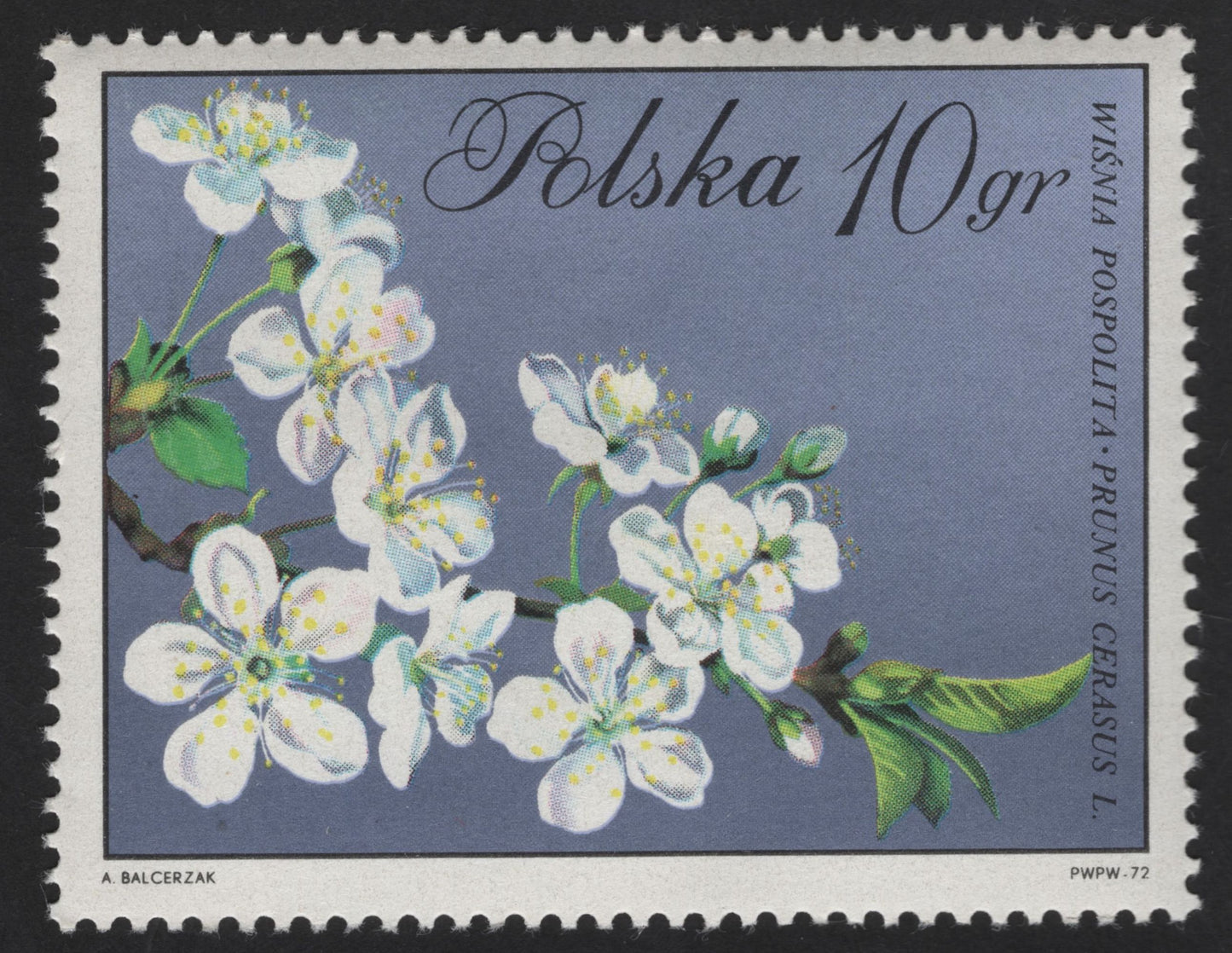 SCG13255 - Poland 1972 Blossoming Fruit Trees – Cherry & Pear Flowers