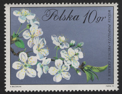SCG13255 - Poland 1972 Blossoming Fruit Trees – Cherry & Pear Flowers