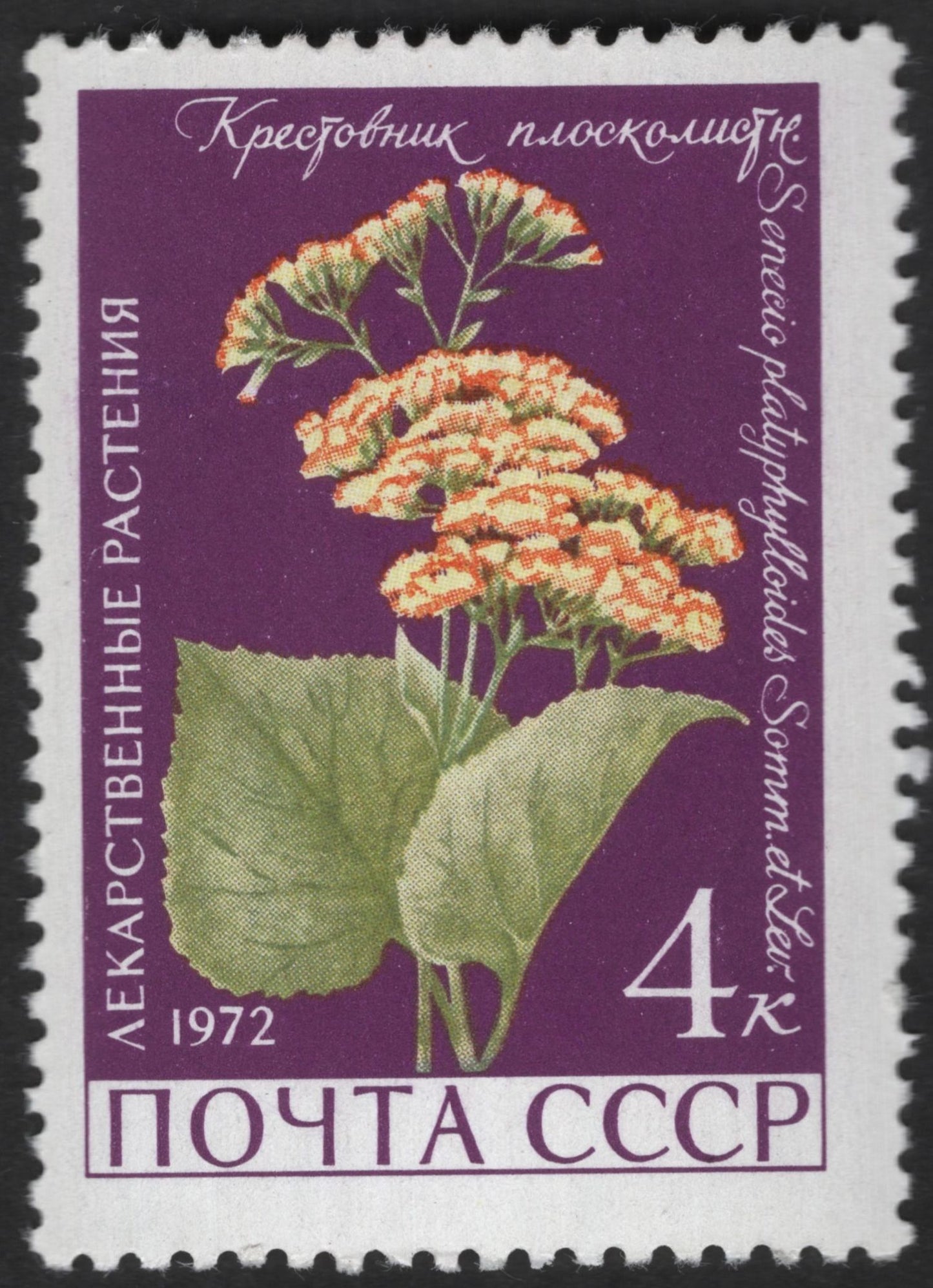 SCG13077 - USSR 1972 – Medicinal Plants Definitive Set