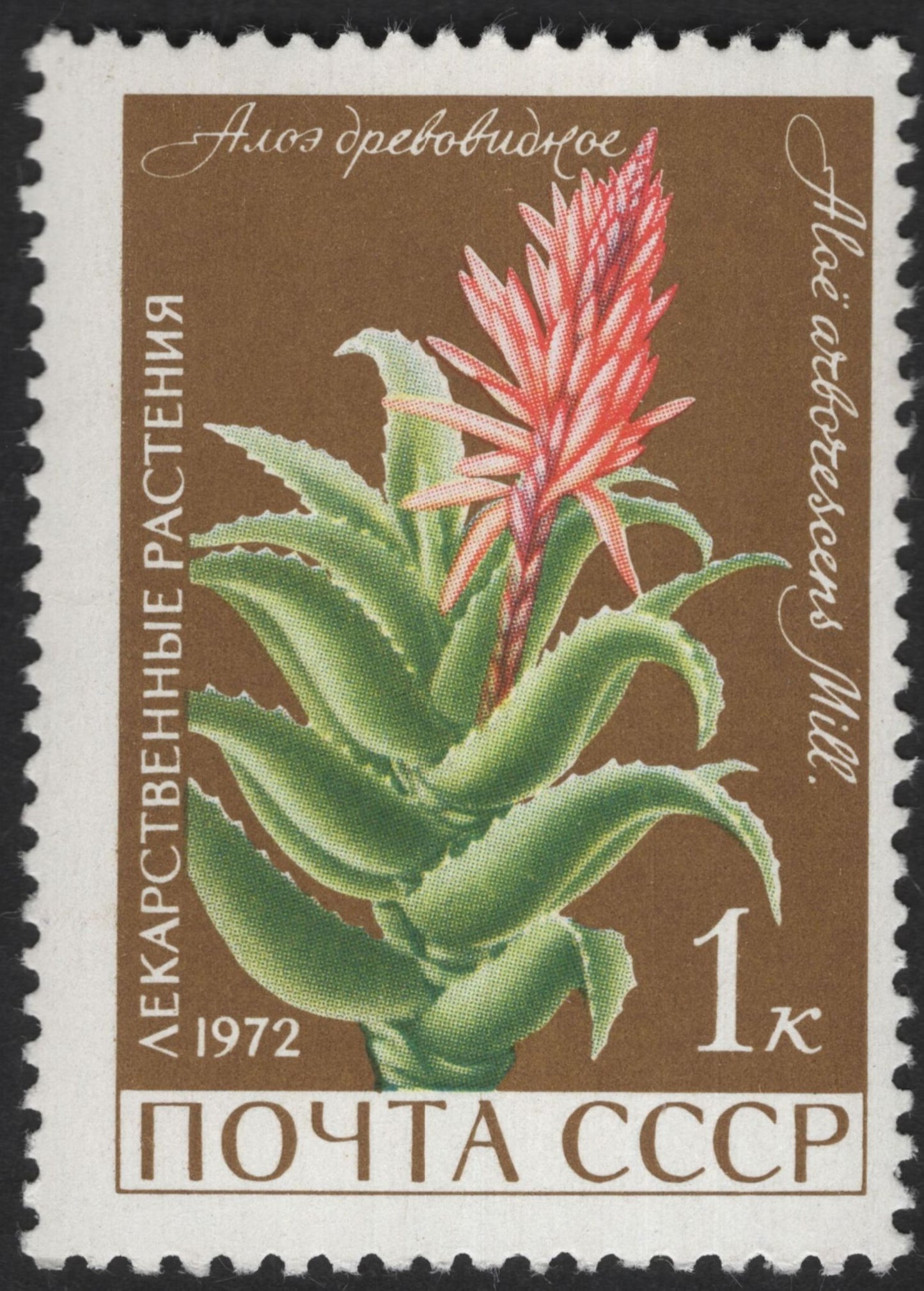 SCG13077 - USSR 1972 – Medicinal Plants Definitive Set