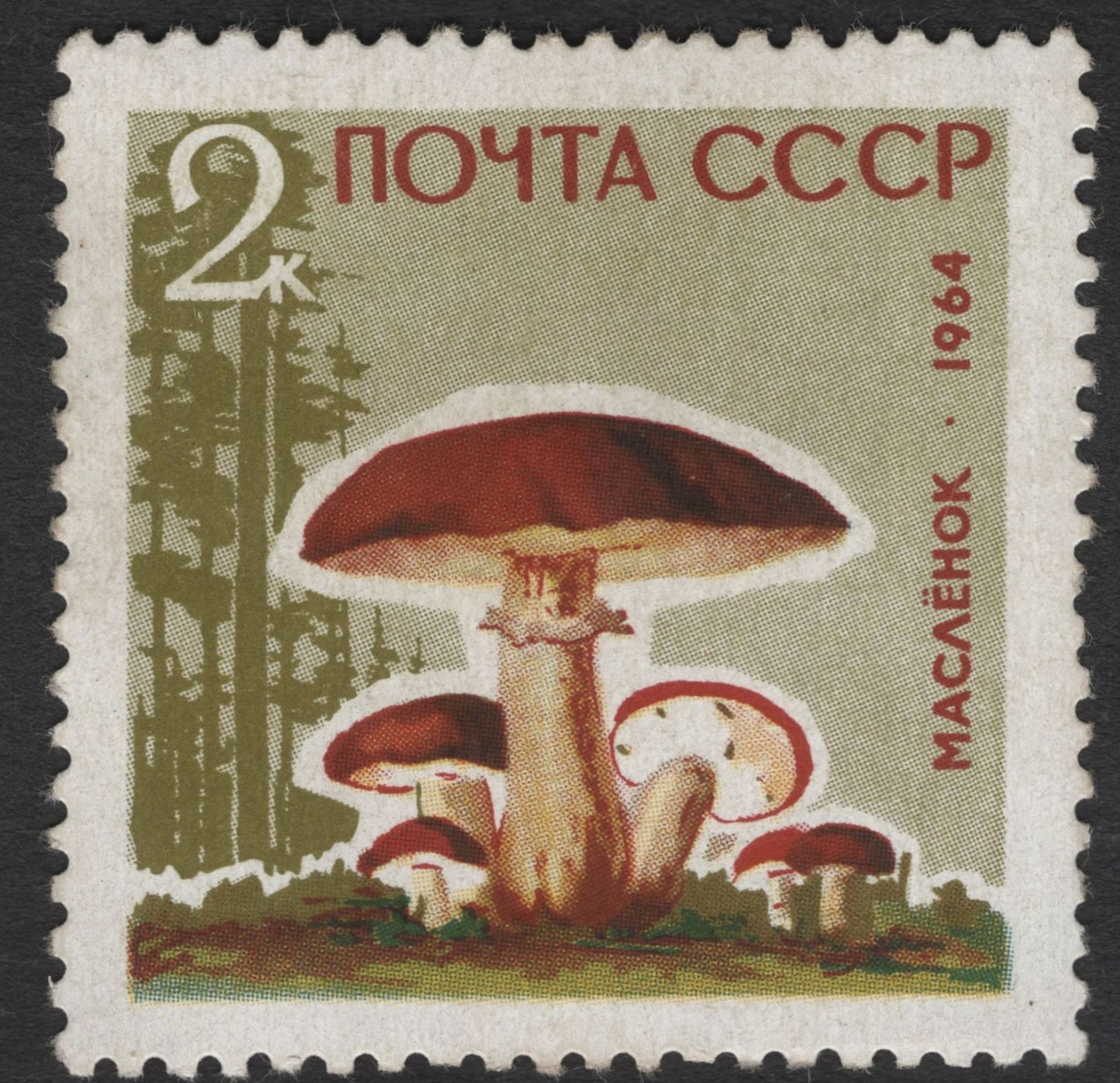 SCG11853 - USSR 1964 Forest Mushrooms Definitive Set (5 Values)