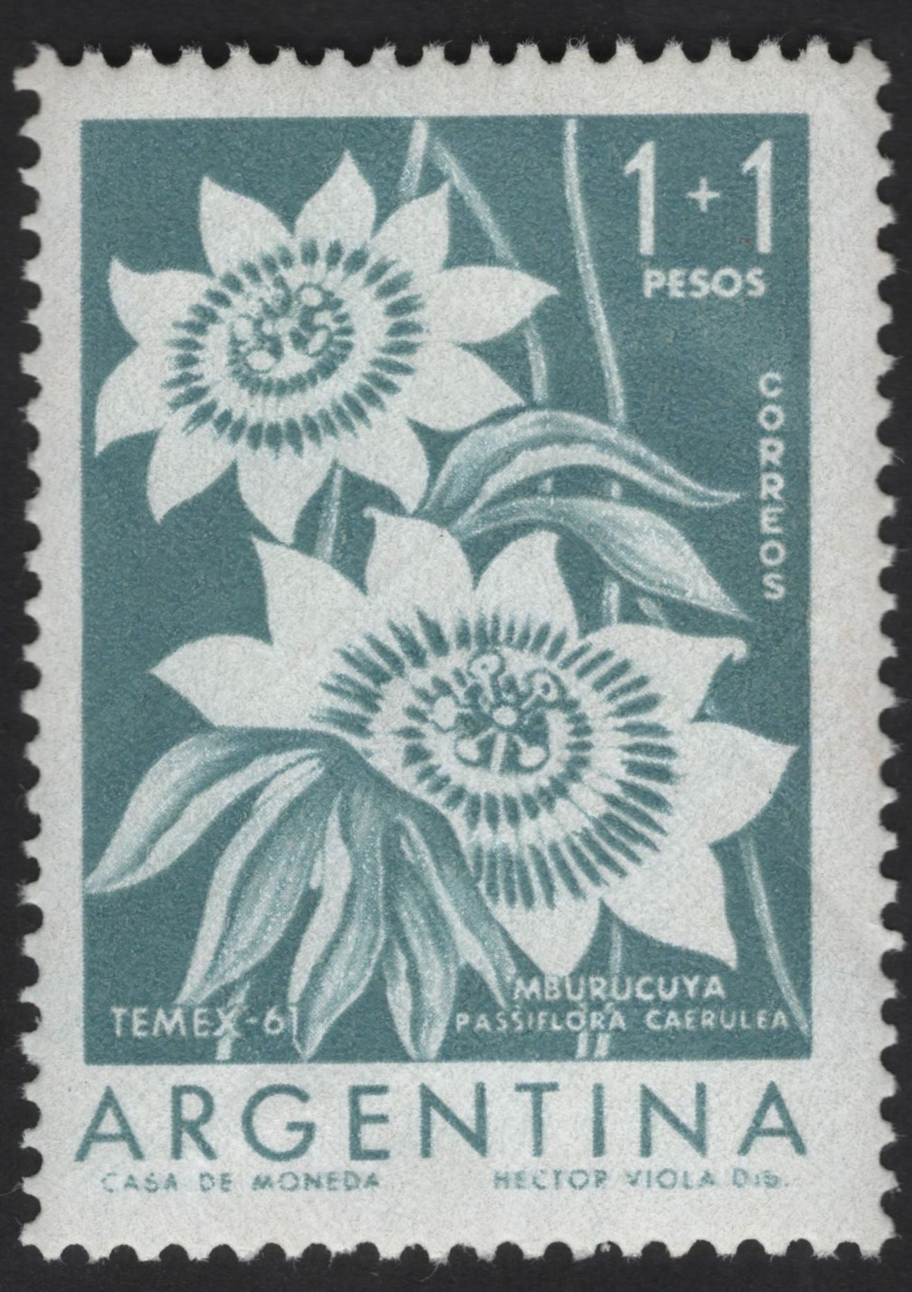 SCG13082 - Argentina 1961 – Native Flowers (TEMEX-61) Semi-Postal Set