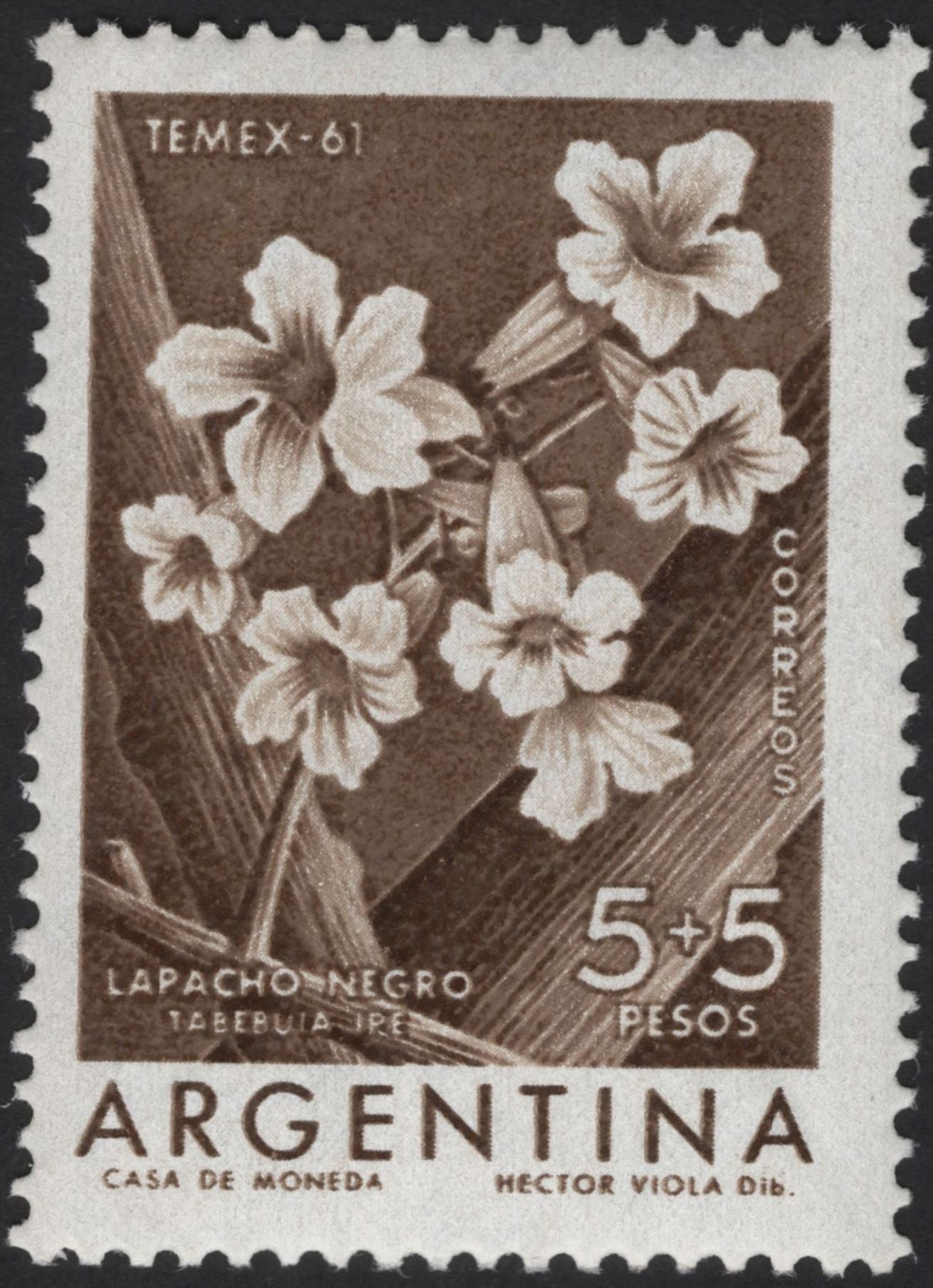 SCG13082 - Argentina 1961 – Native Flowers (TEMEX-61) Semi-Postal Set