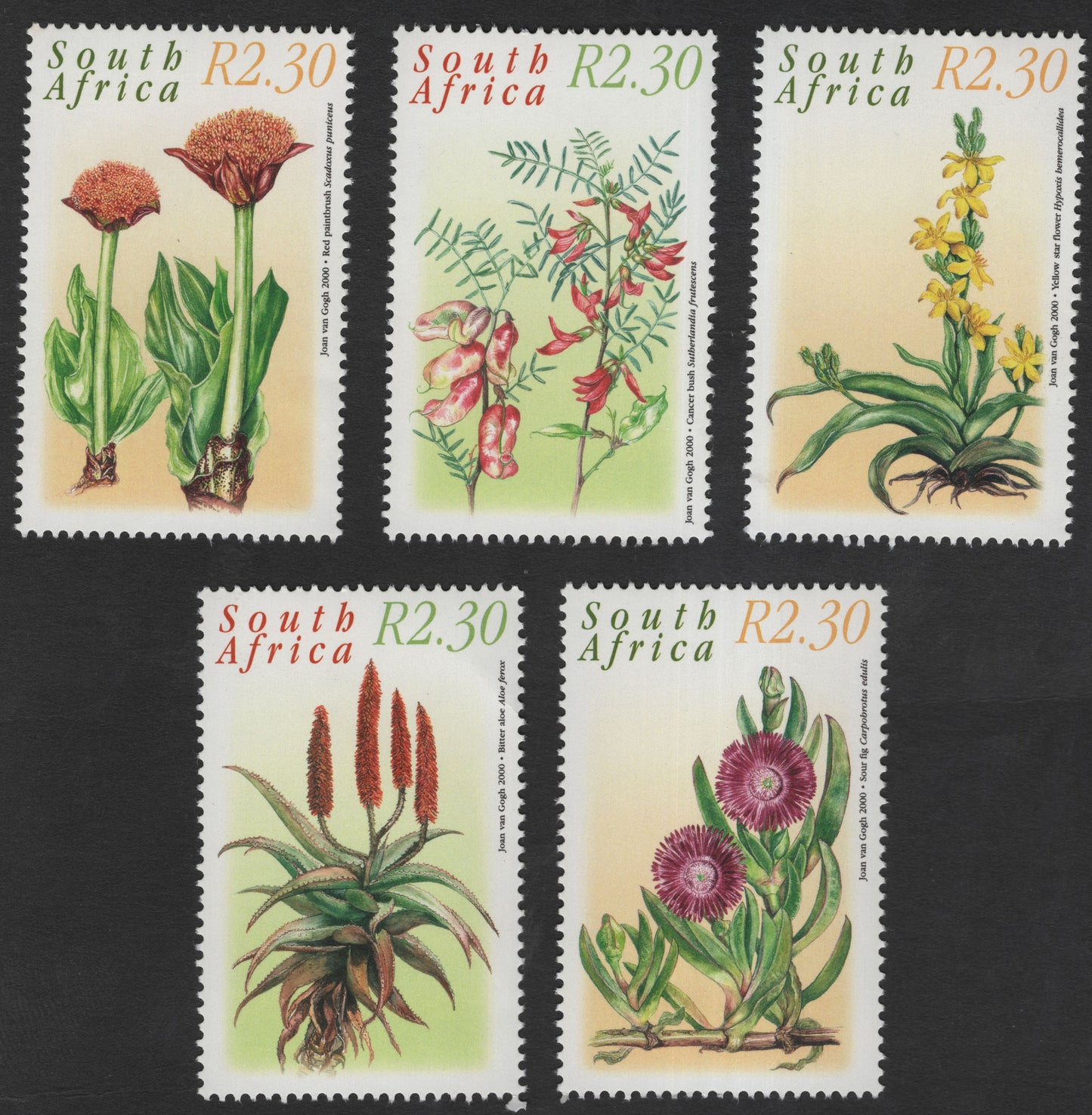 SCG11858 - South Africa 2000 Indigenous Wildflowers Definitive Set (R2.30 Values)