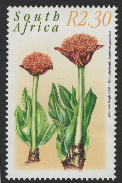 SCG11858 - South Africa 2000 Indigenous Wildflowers Definitive Set (R2.30 Values)