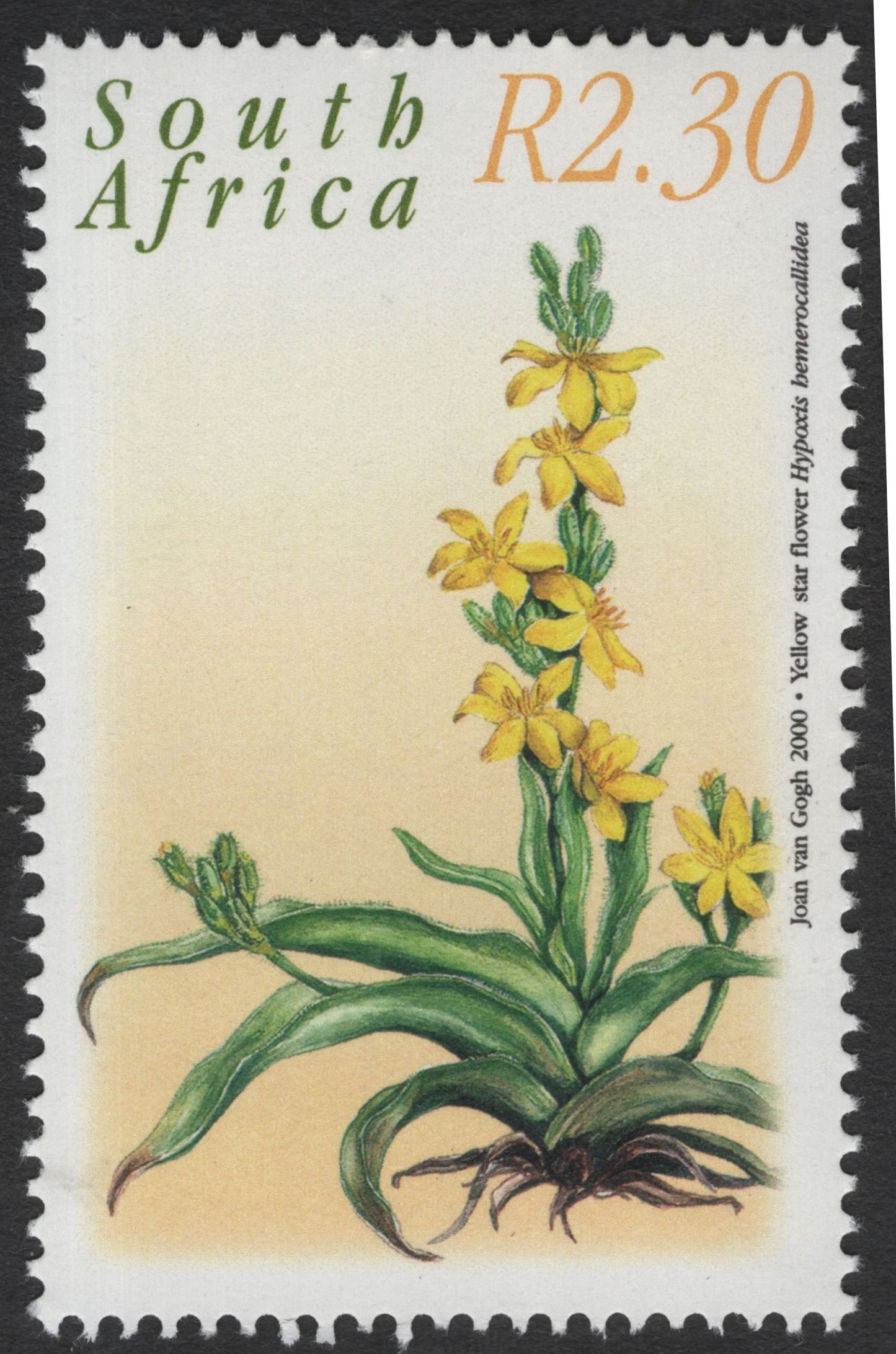SCG11858 - South Africa 2000 Indigenous Wildflowers Definitive Set (R2.30 Values)