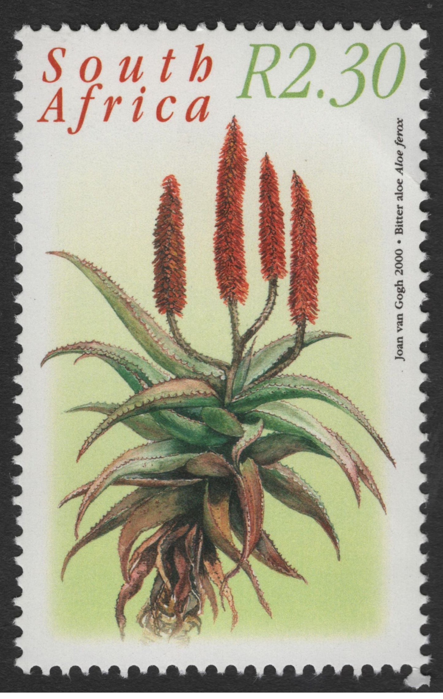 SCG11858 - South Africa 2000 Indigenous Wildflowers Definitive Set (R2.30 Values)