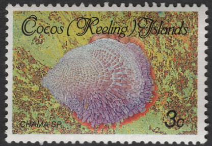 SCG11859 - Cocos (Keeling) Islands Marine Shells Series (Definitive Issues)