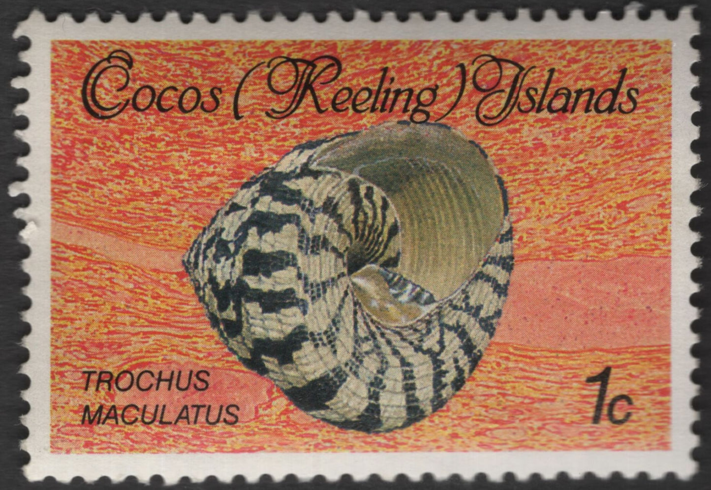SCG11859 - Cocos (Keeling) Islands Marine Shells Series (Definitive Issues)