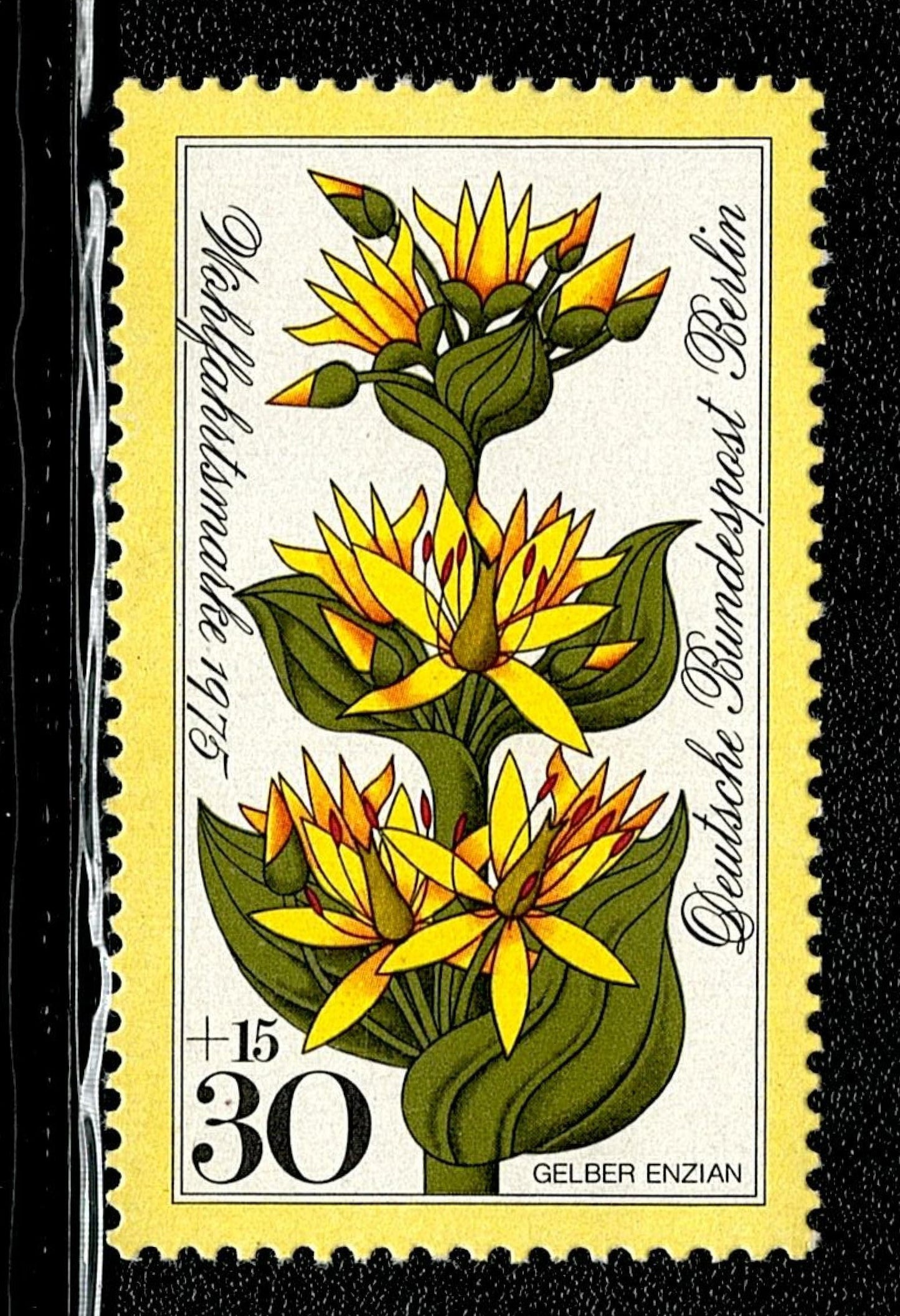 SCG104 Germany Wildflower Charity Stamp Set – 1980 Deutsche Bundespost