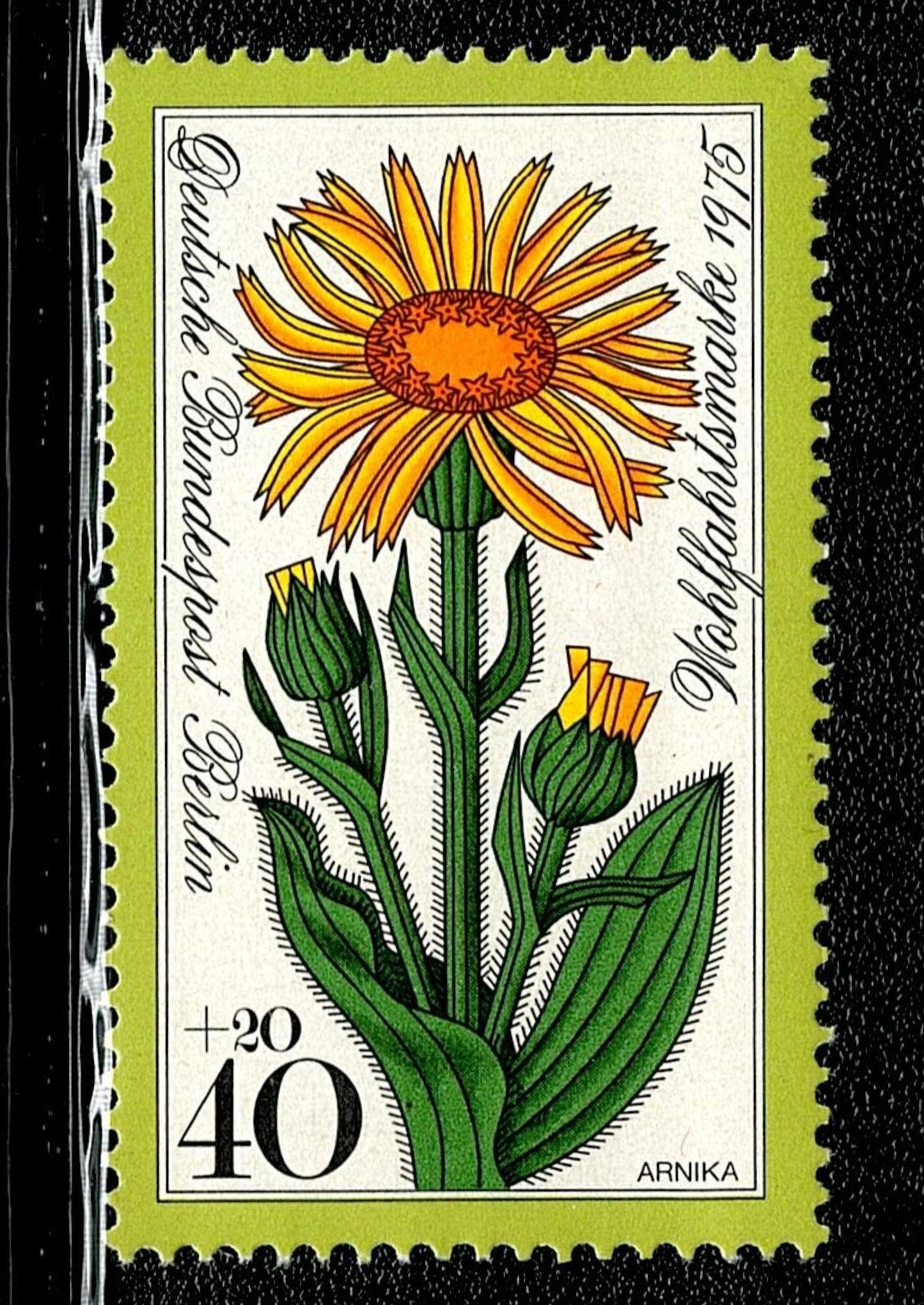 SCG104 Germany Wildflower Charity Stamp Set – 1980 Deutsche Bundespost