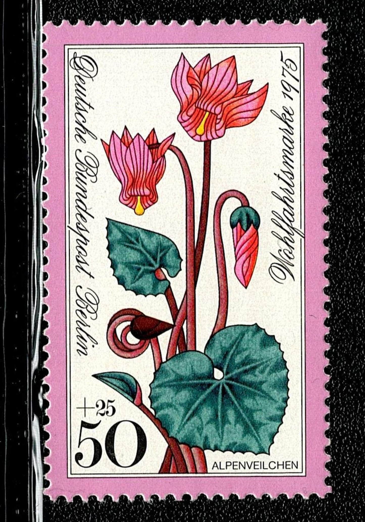 SCG104 Germany Wildflower Charity Stamp Set – 1980 Deutsche Bundespost