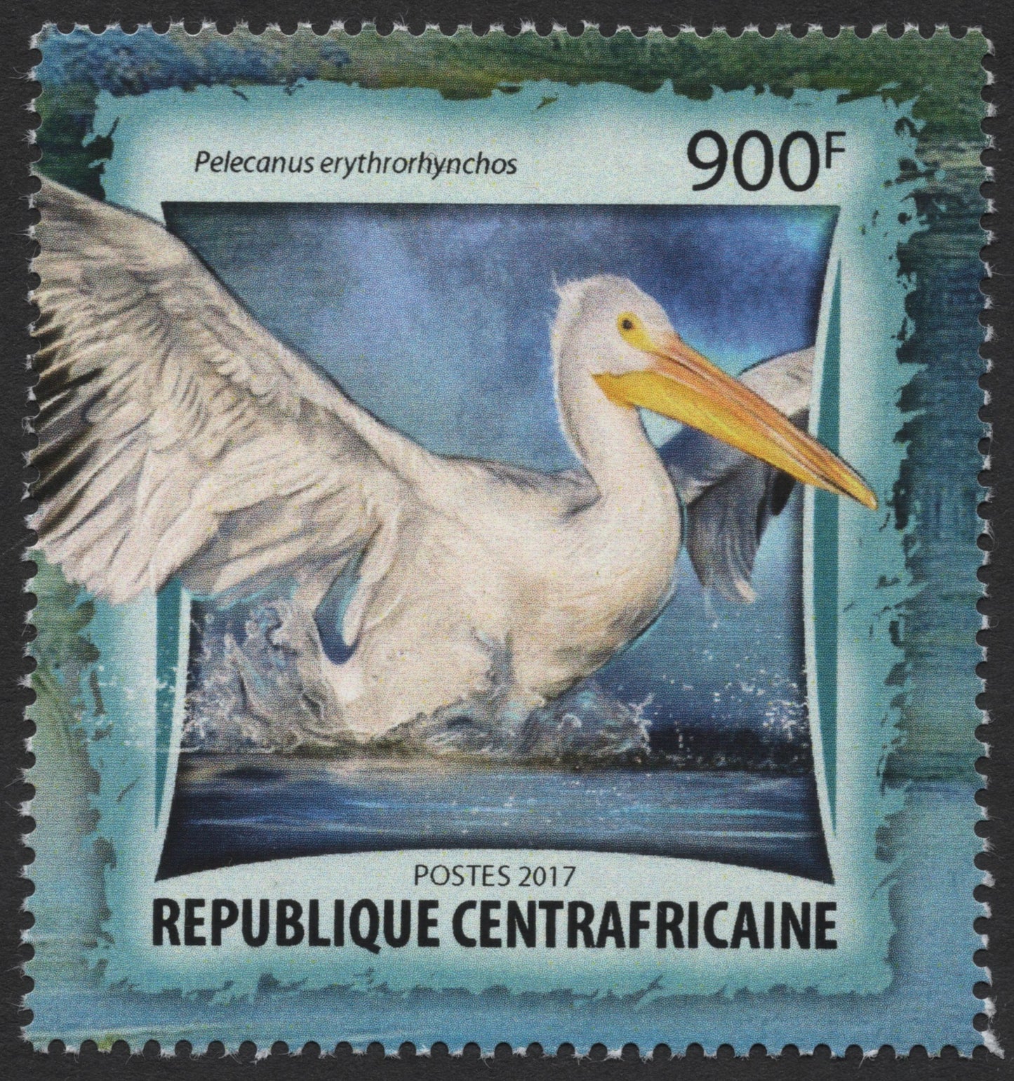 SCG512 - Central African Republic 2017 - Great White Pelican Stamp