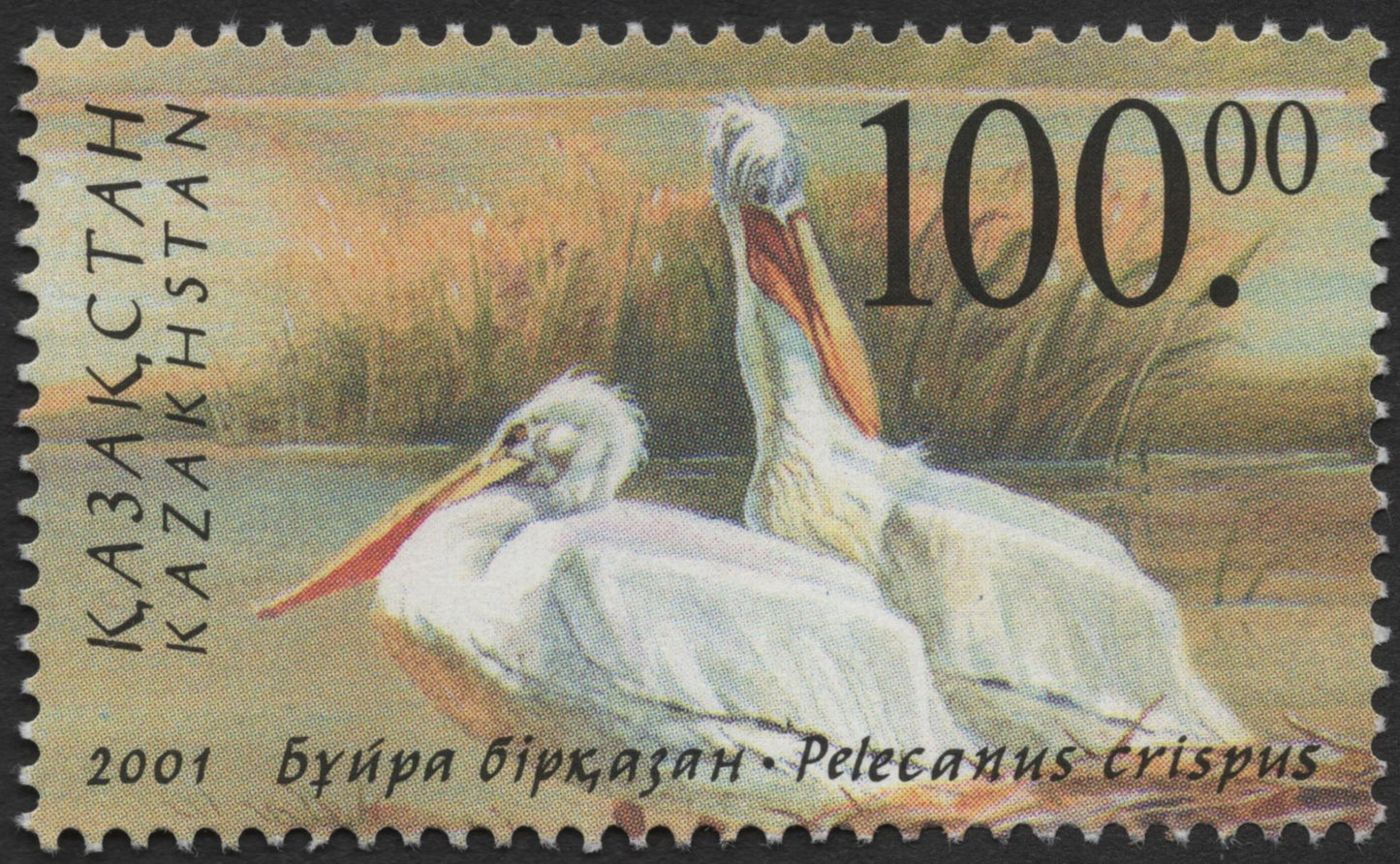 SCG508 - Kazakhstan 2001 Dalmatian Pelican Stamp