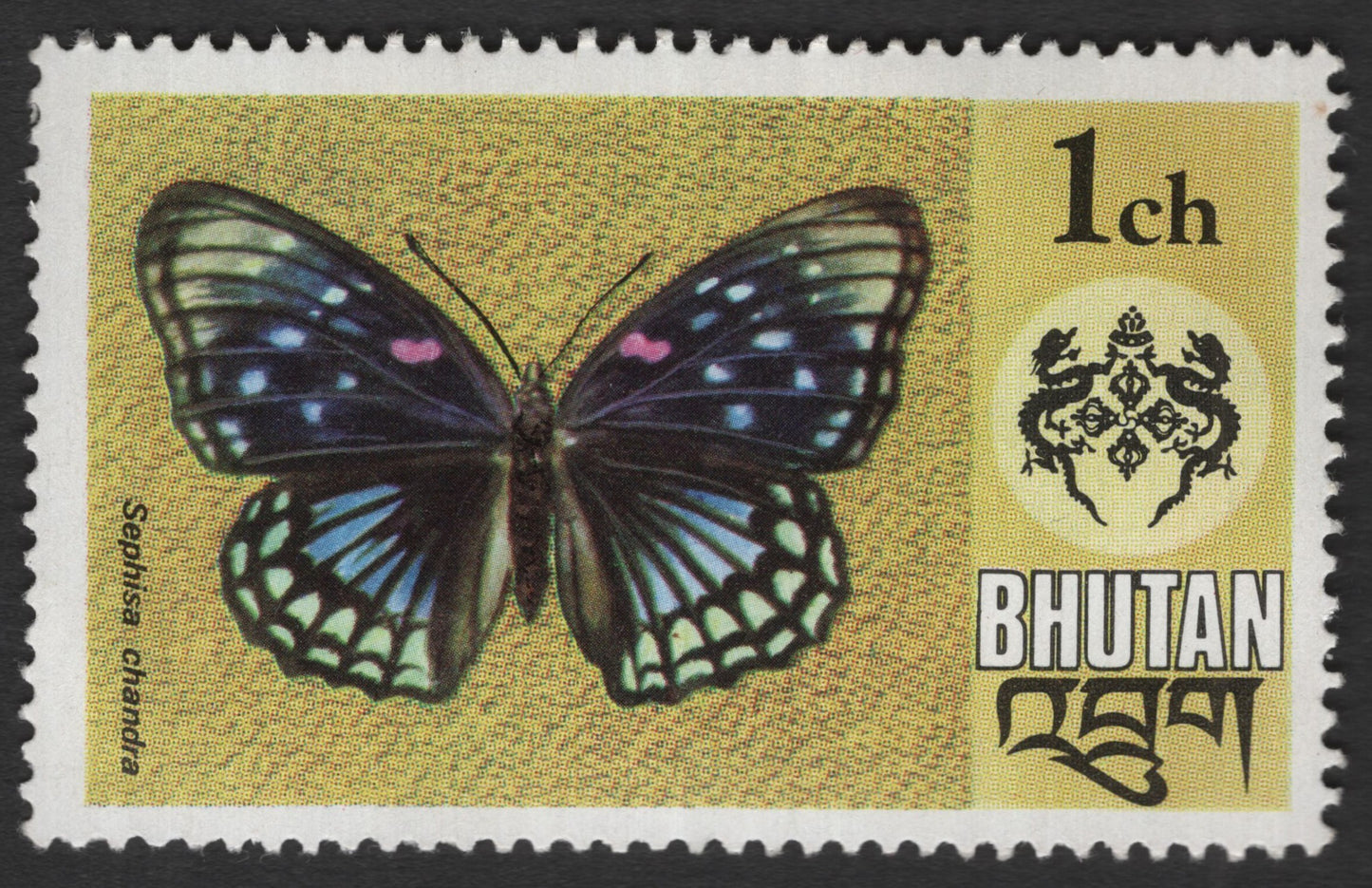 SCG11623 - Bhutan 1ch Butterfly – Sephisa chandra Wildlife Issue