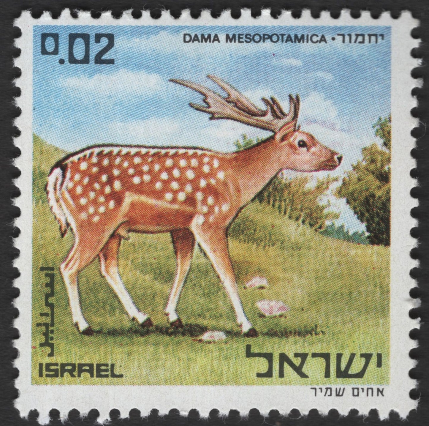 SCG11643 - Israel – Mesopotamian Fallow Deer (Dama mesopotamica) Wildlife Stamp