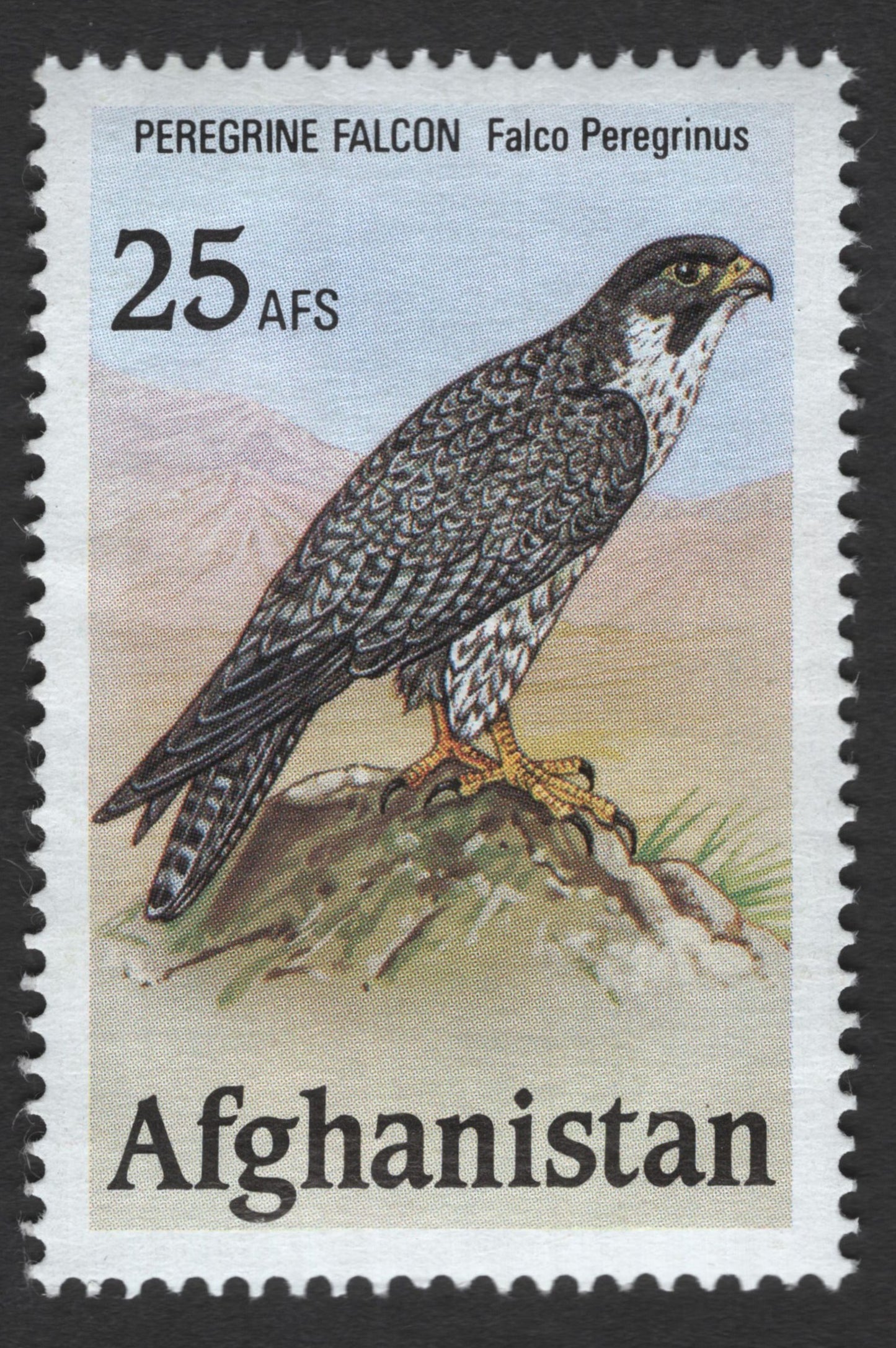 SCG11903 - Afghanistan Peregrine Falcon Wildlife Stamp