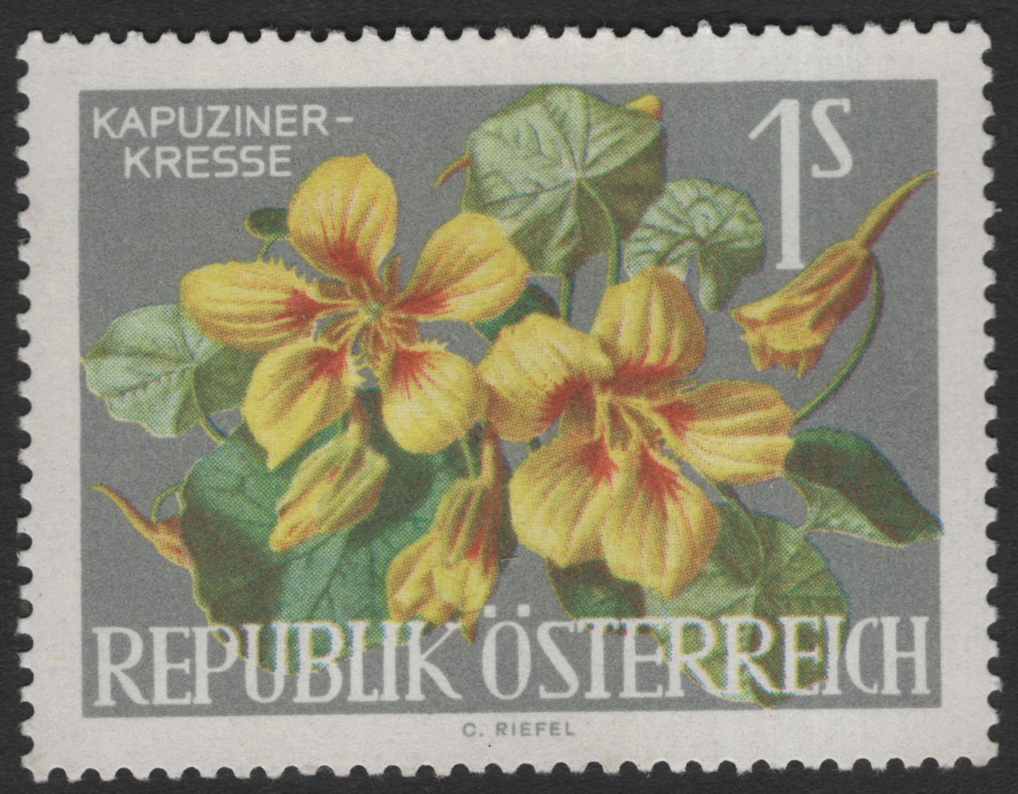 SCG11905 - Austria “Kapuzinerkresse” (Nasturtium) Botanical Stamp