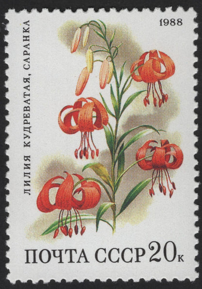 SCG13260 - USSR 1988 Wild Flowers of the Soviet Union Stamp Set