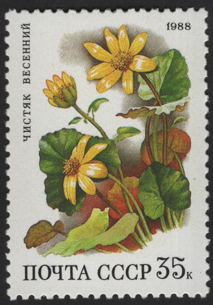 SCG13260 - USSR 1988 Wild Flowers of the Soviet Union Stamp Set