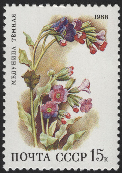 SCG13260 - USSR 1988 Wild Flowers of the Soviet Union Stamp Set