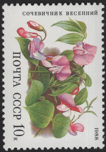 SCG13260 - USSR 1988 Wild Flowers of the Soviet Union Stamp Set